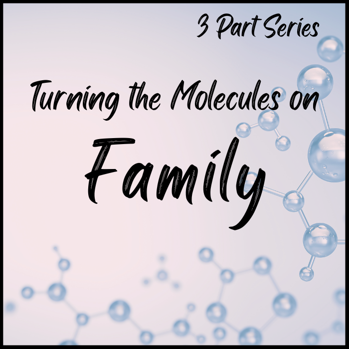 guided meditation on family