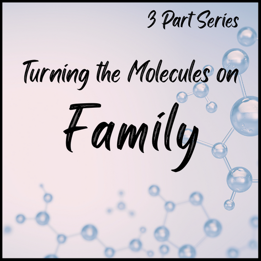 guided meditation on family
